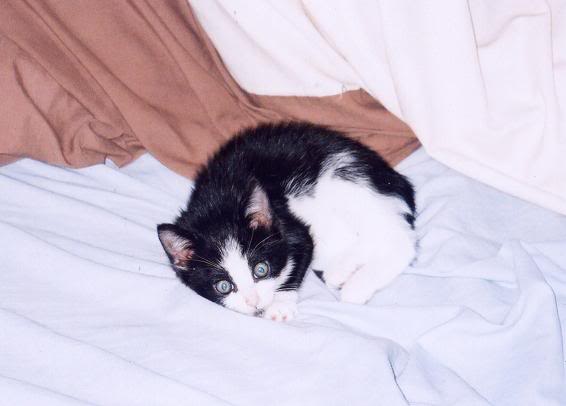 Xanga Post: Wednesday, May 12, 2004