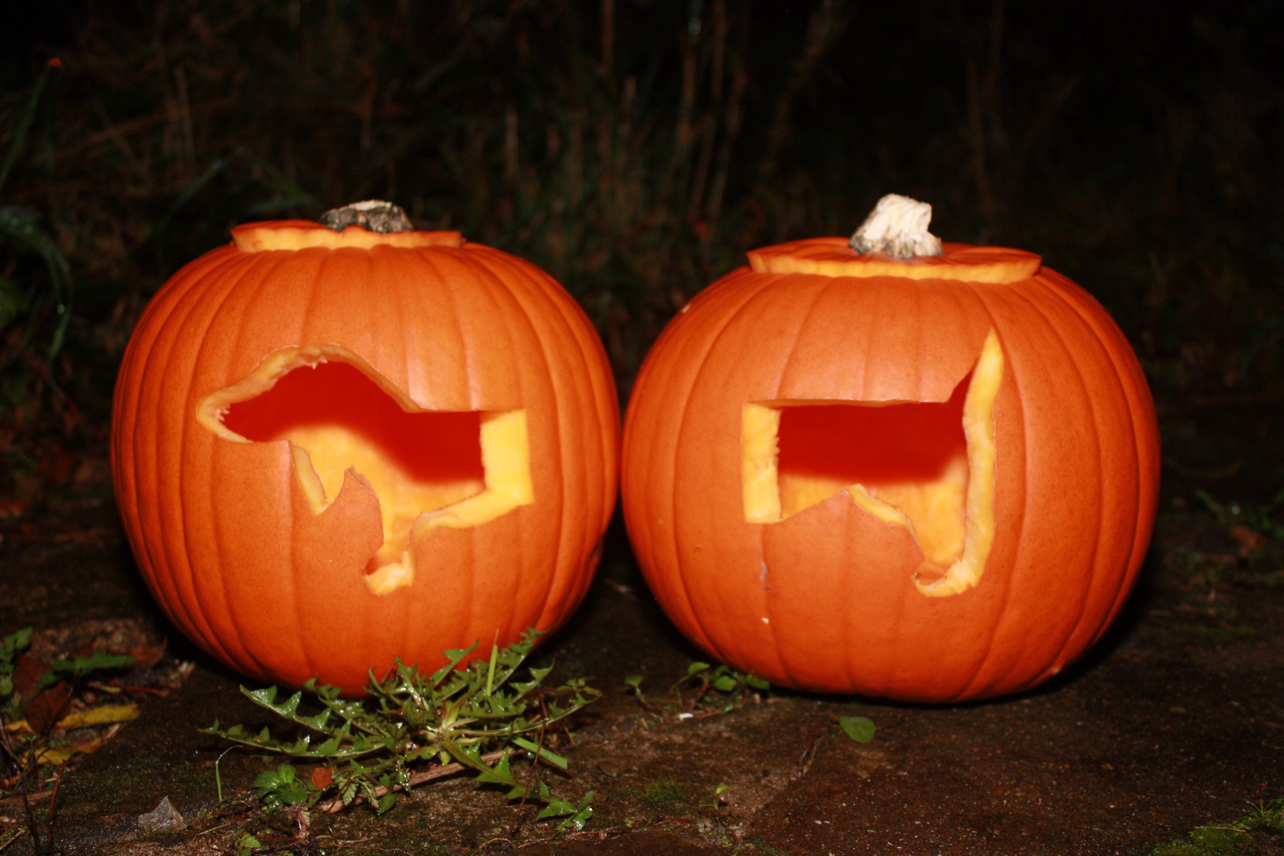 Pumpkin carving – Halloweenie style