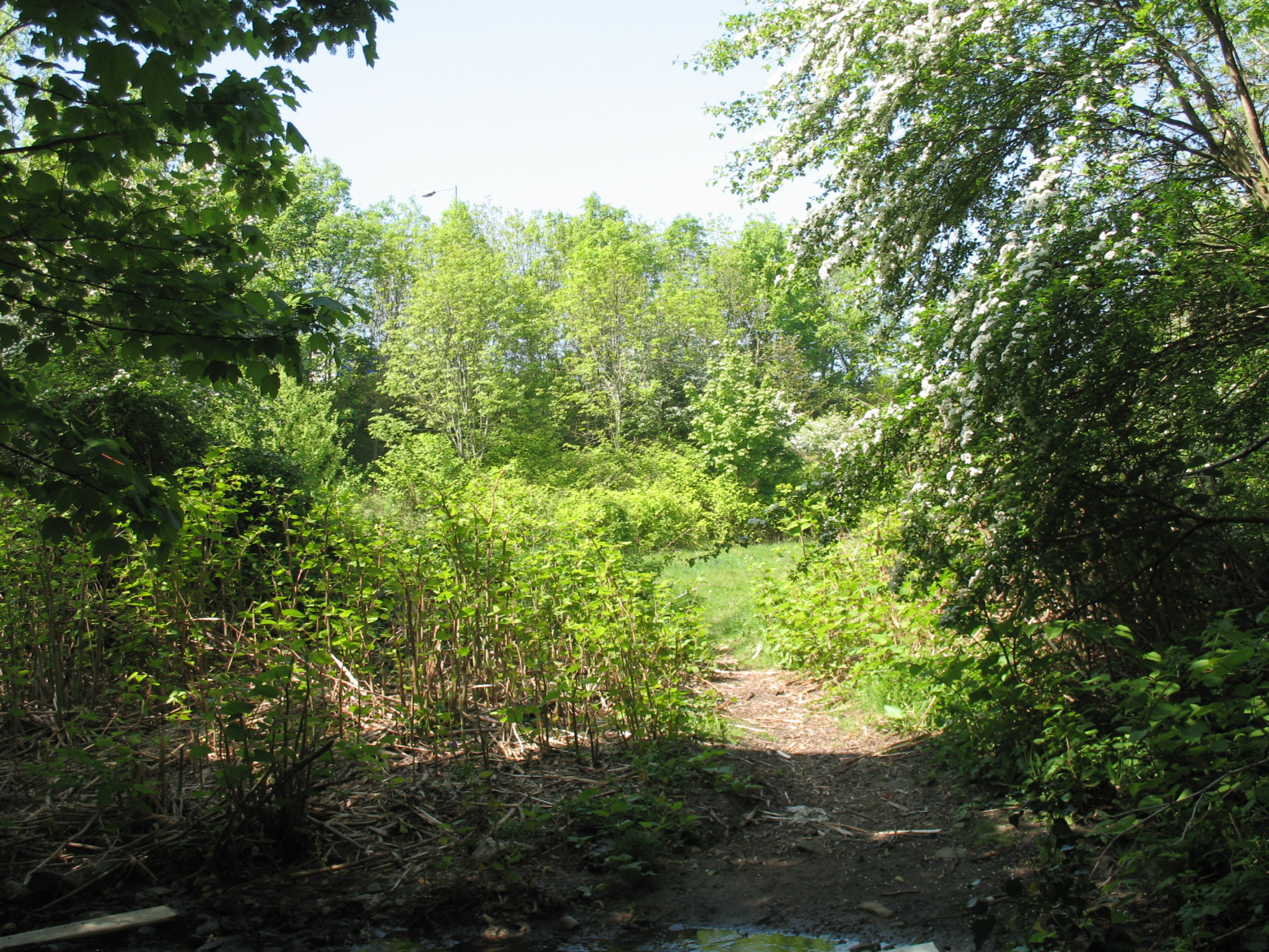 Our Spot – Revisted