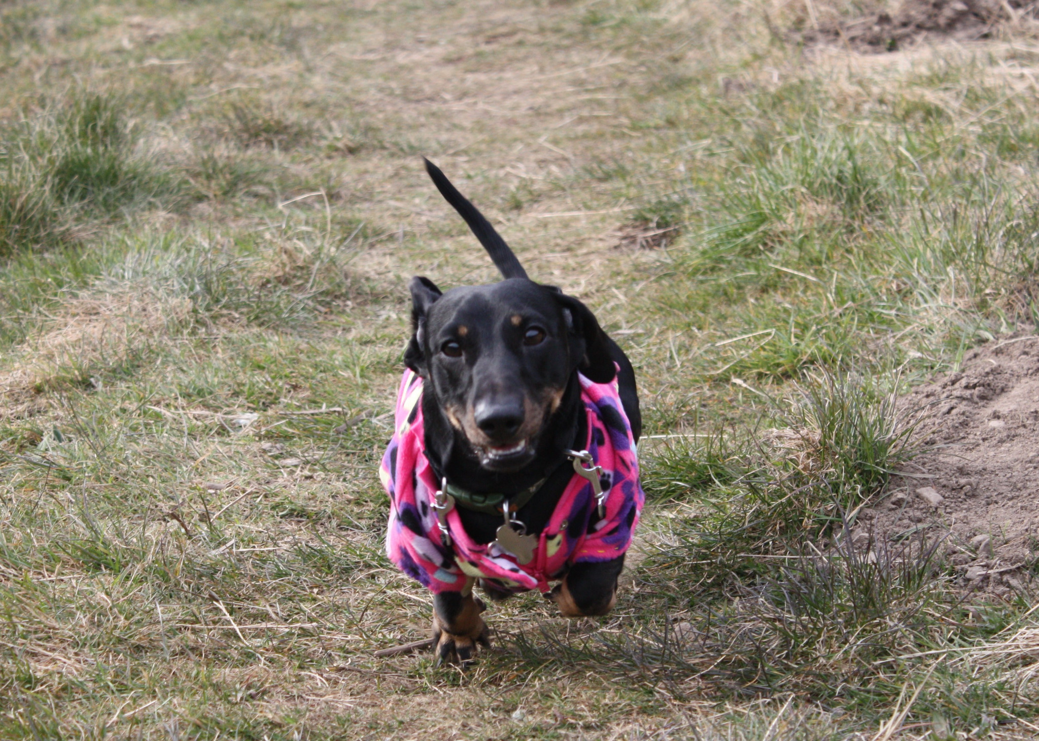 How We Spent Our Weekend.