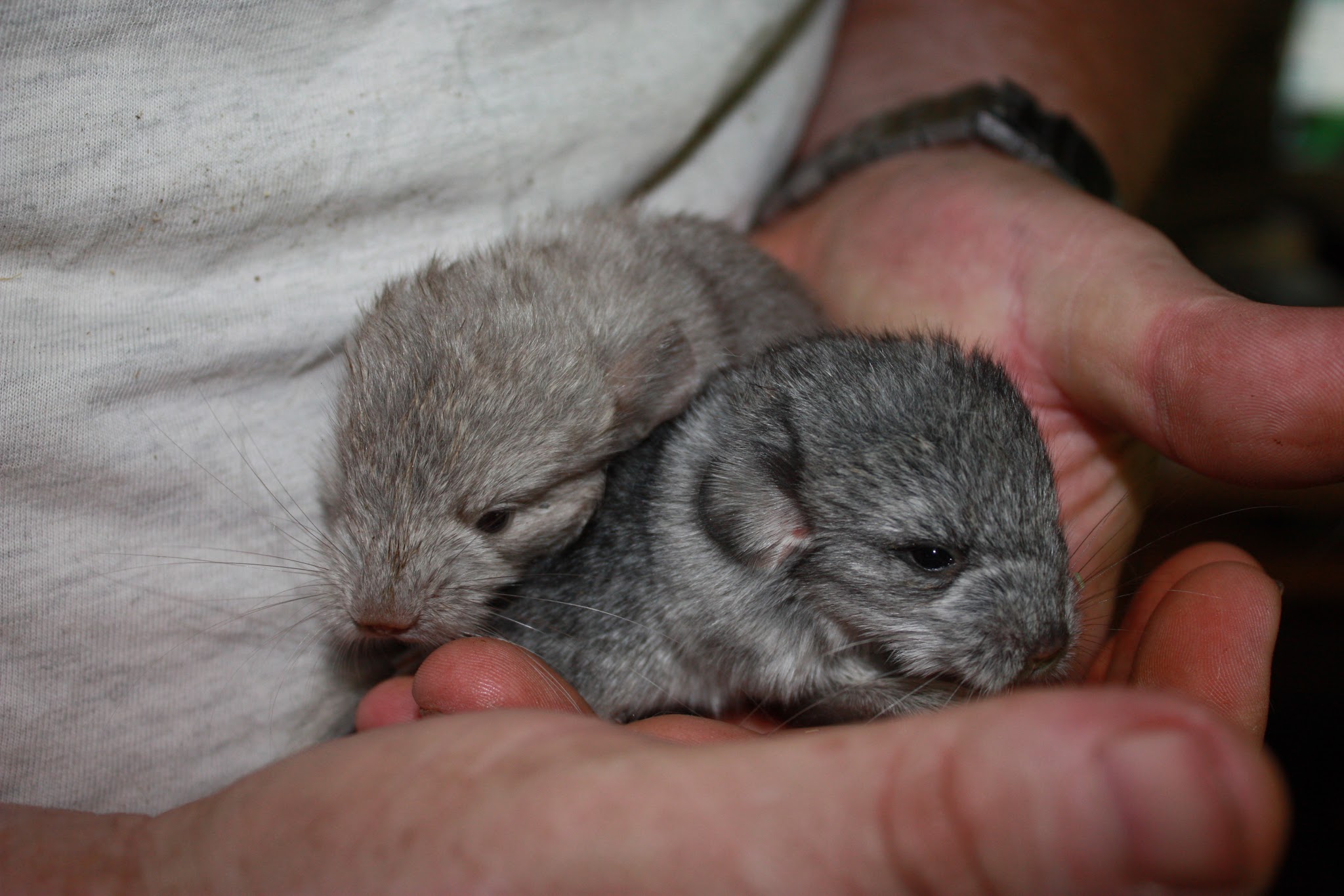 On birth. And death.