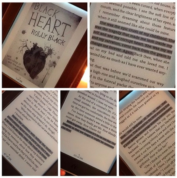 The Curse Workers, Holly Black