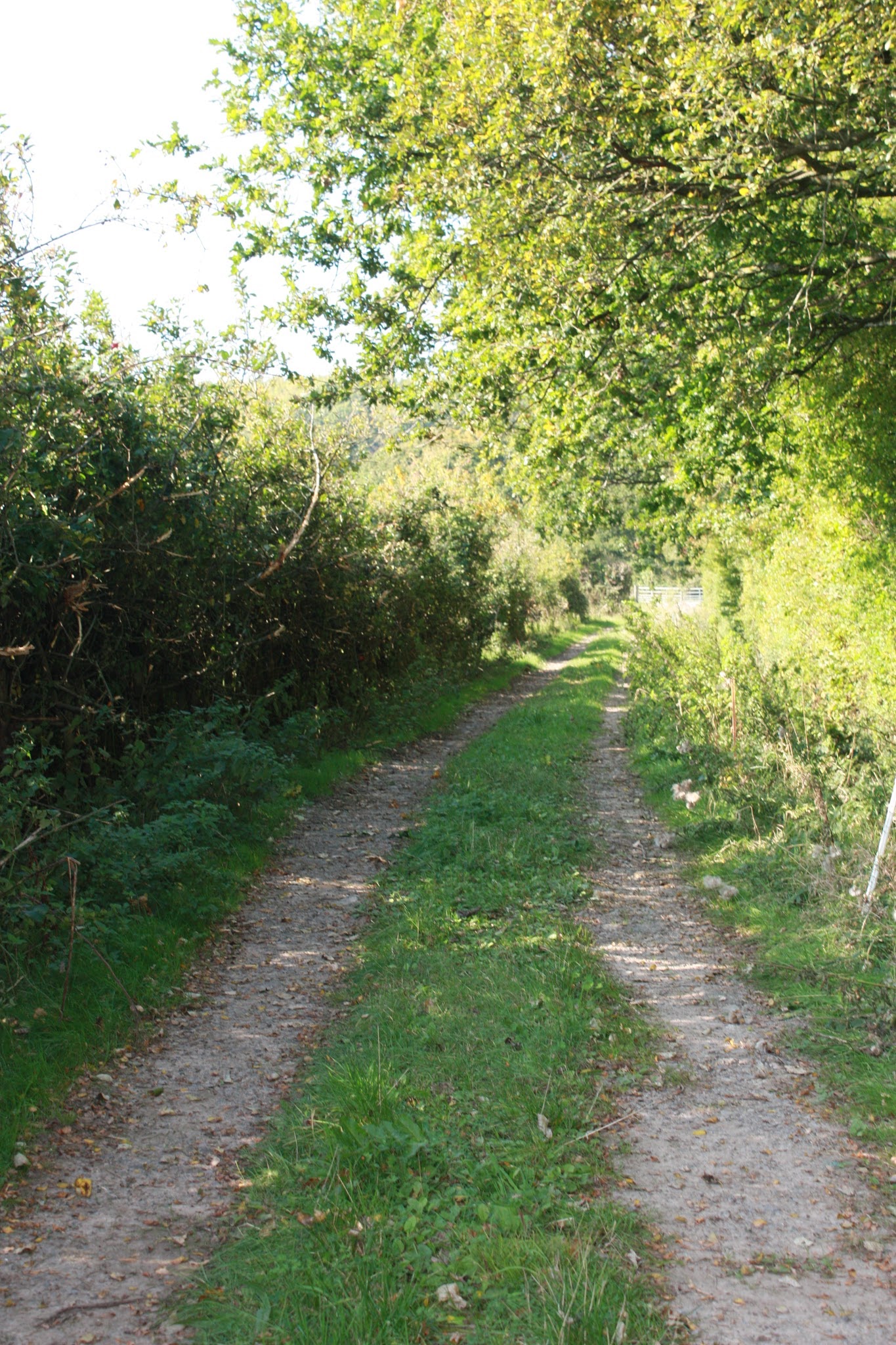 An Apple Picking Date