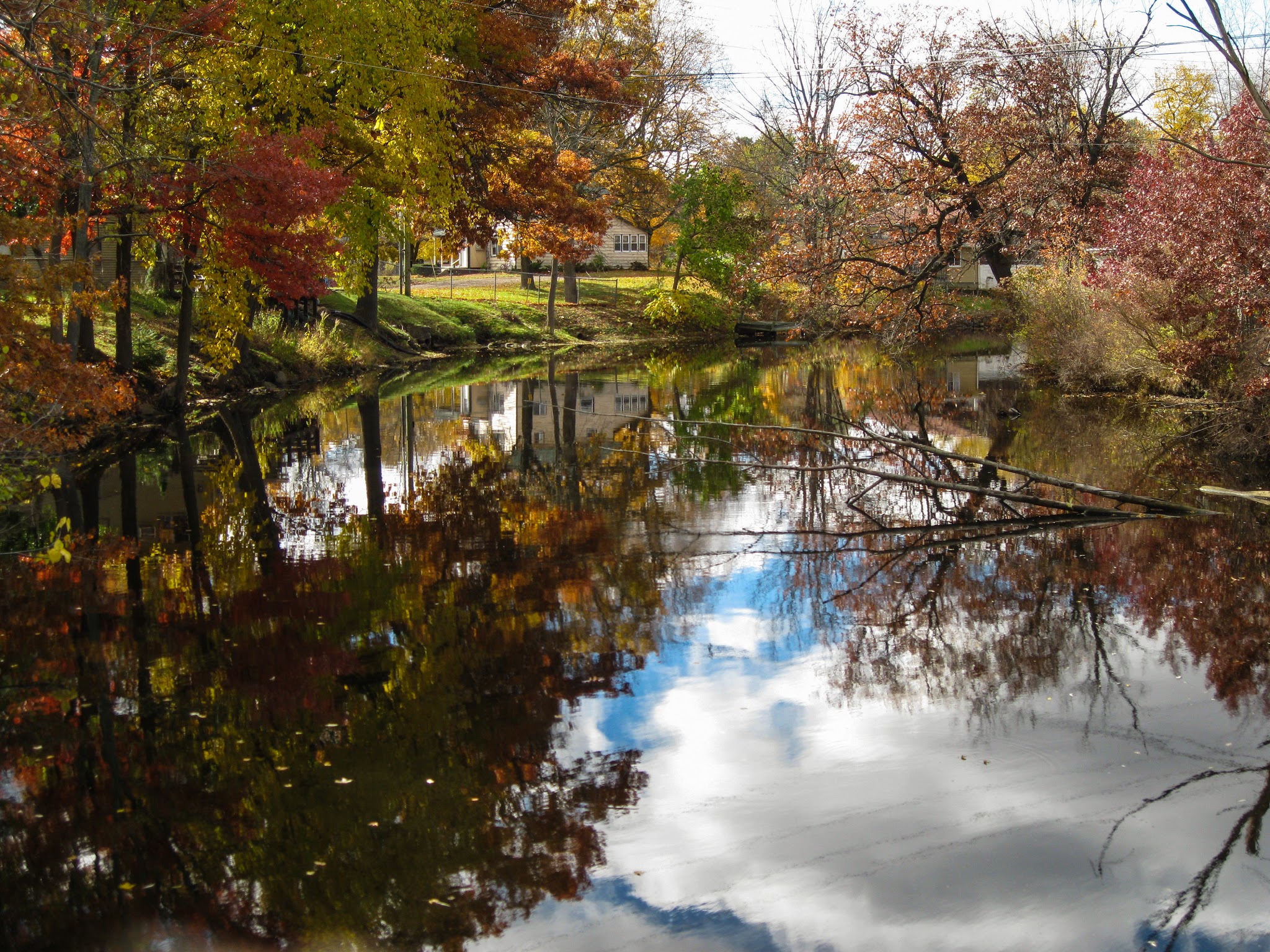 My Favourite Things About the Fall