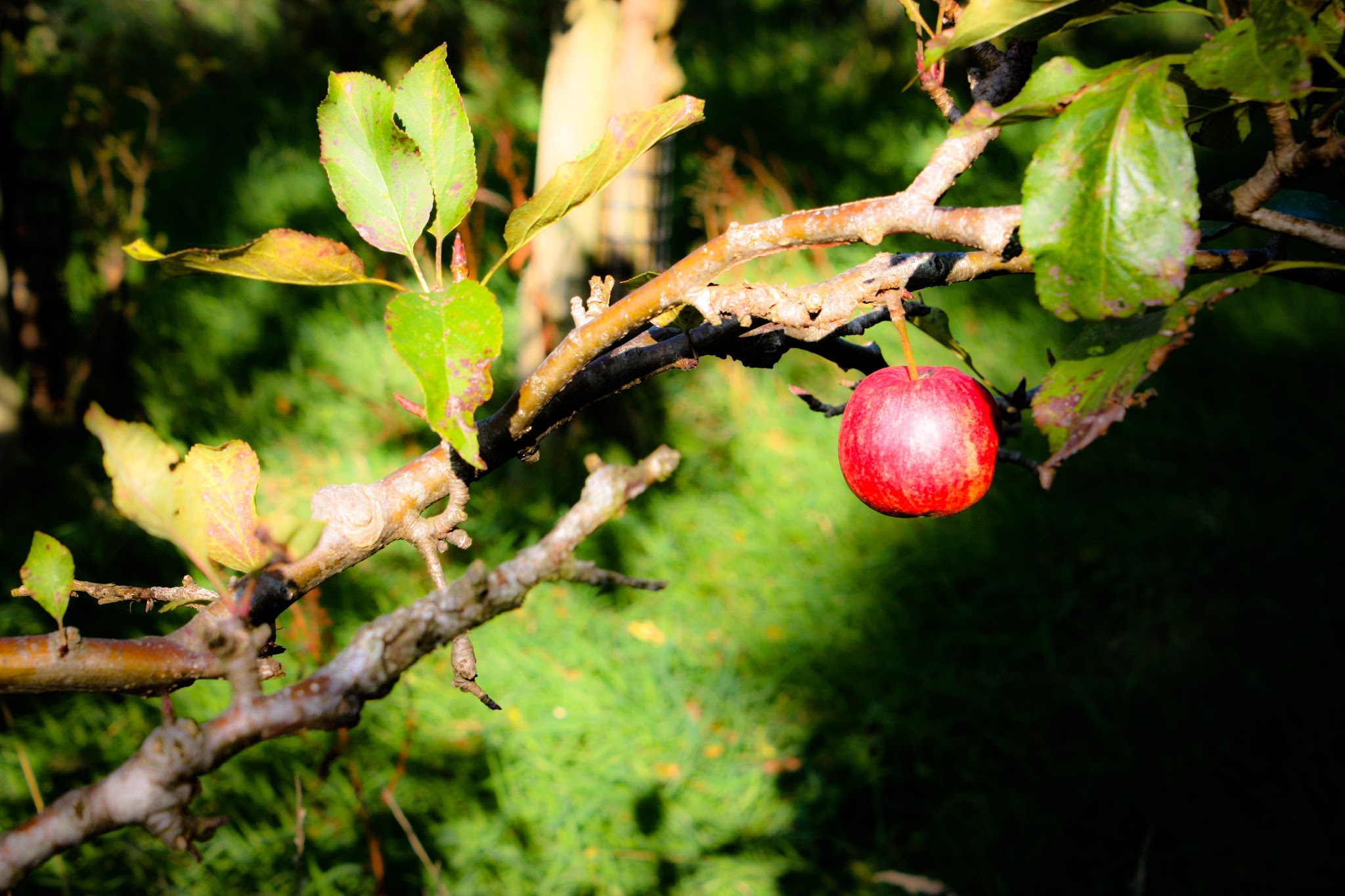 25 Fall Date Night Ideas