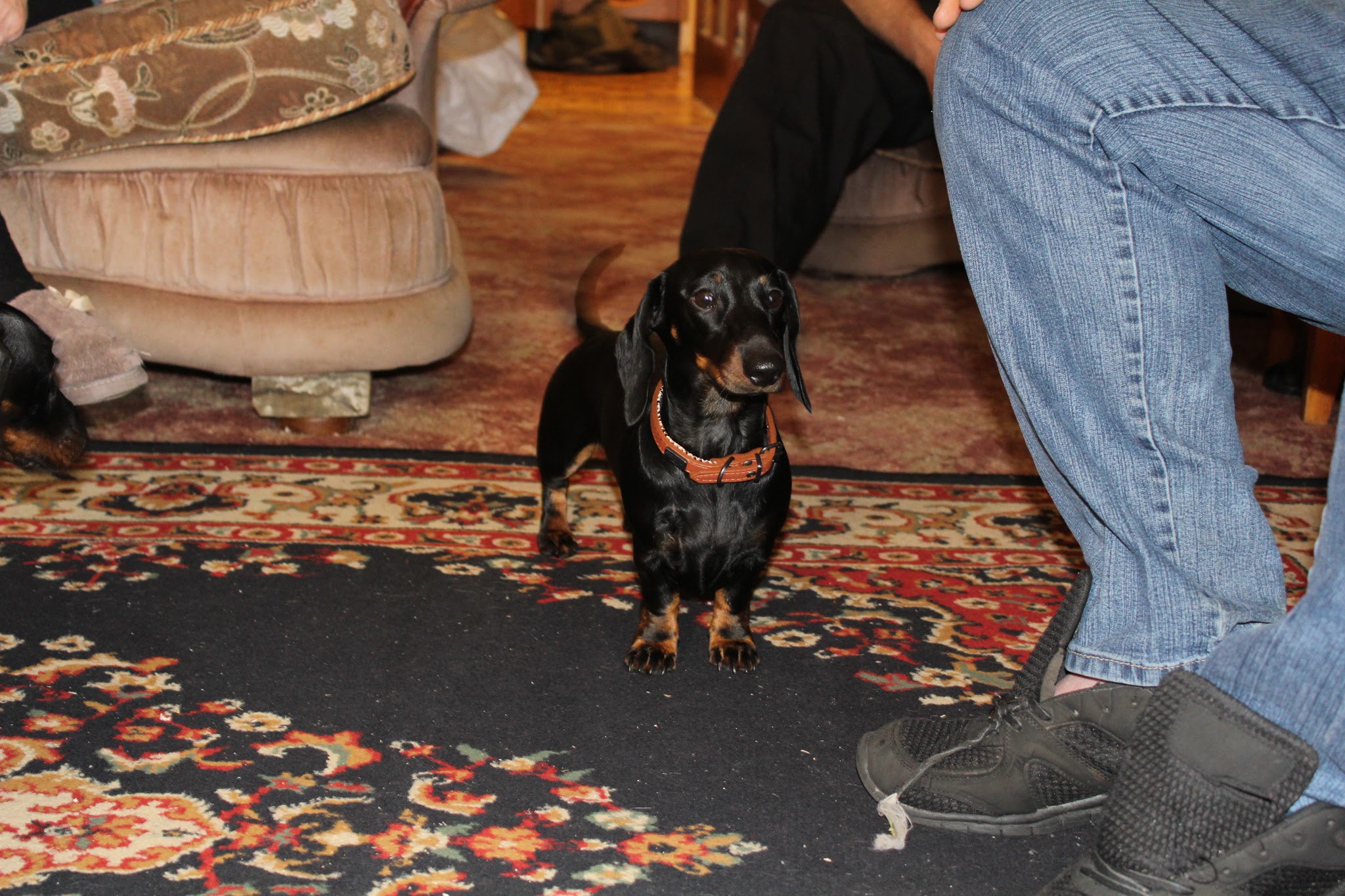 Happy Birthday, Khaaaan and Min!