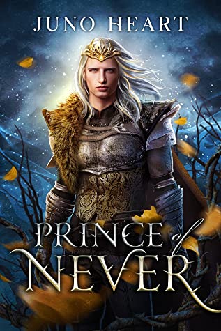 Book Review: Prince of Never (Black Blood Fae #1) by Juno Heart