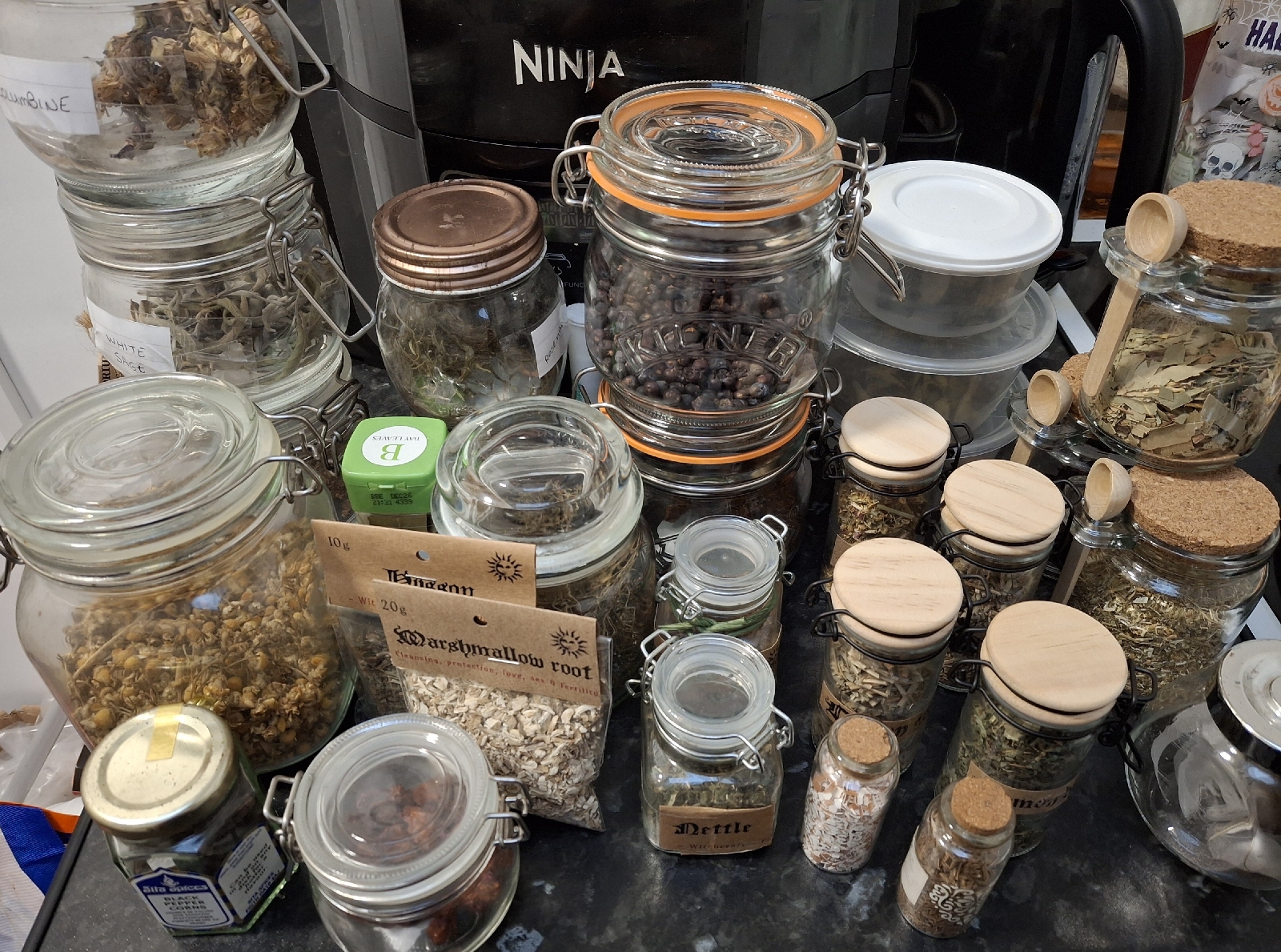 A Witch’s Apothecary