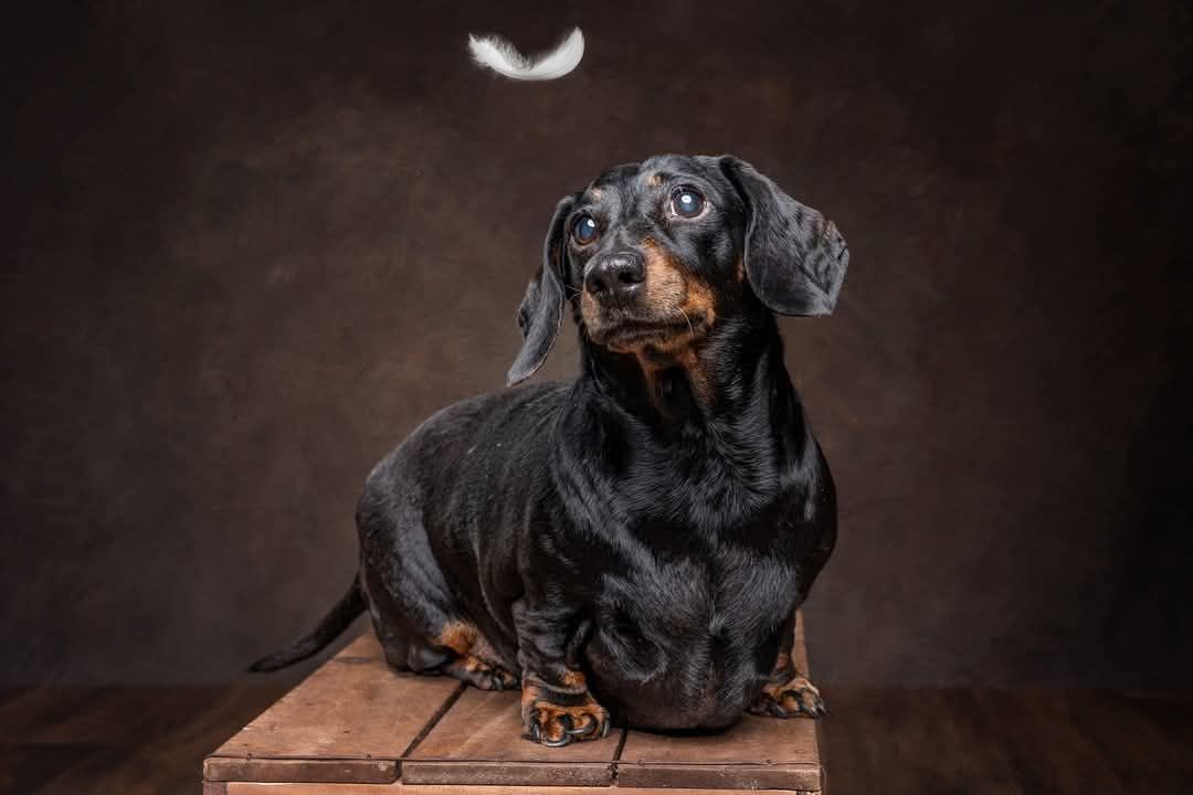 NOW That’s What I Call A Year!